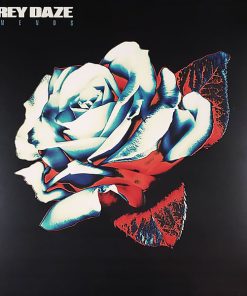 Grey Daze - Amends Vinyl Record (Box Set) (Mint (M))