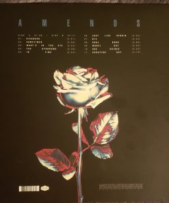 Alternative view of Grey Daze - Amends (LP) (Mint (M))