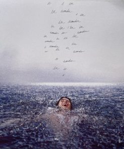 Shawn Mendes - Wonder Vinyl Record (LP) (Mint (M))