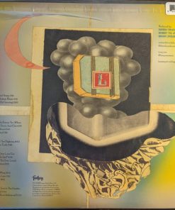 Alternative view of Tedeschi Trucks Band Featuring Trey Anastasio - Layla Revisited (Live At Lockn') Vinyl Record (All Media) (Mint (M))