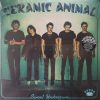 Ceramic Animal - Sweet Unknown (LP) (Mint (M))