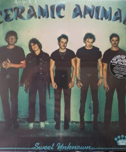Ceramic Animal - Sweet Unknown (LP) (Mint (M))