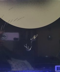 Alternative view of Tedeschi Trucks Band - I Am The Moon: III. The Fall Vinyl Record (LP) (Mint (M))