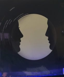 Alternative view of Tedeschi Trucks Band - I Am The Moon: IV. Farewell Vinyl Record (LP) (Mint (M))