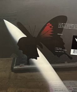 Post Malone - Twelve Carat Toothache (2xLP) (Mint (M))