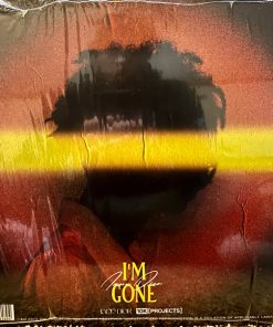 Alternative view of Iann Dior - Nothings Ever Good Enough / I’m Gone Vinyl Record (LP) (Mint (M))