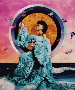 Allison Russell - The Returner Vinyl Record (LP) (Mint (M))