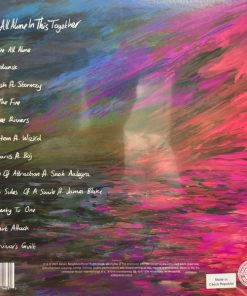 Alternative view of Dave - We're All Alone In This Together Vinyl Record (LP) (Mint (M))