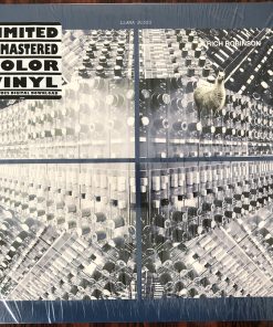 Rich Robinson - Llama Blues Vinyl Record (12") (Mint (M))