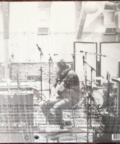 Alternative view of Rich Robinson - Llama Blues Vinyl Record (12") (Mint (M))