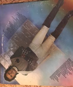 The Dream Weaver vinyl record