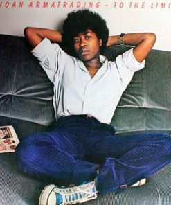 To The Limit vinyl record