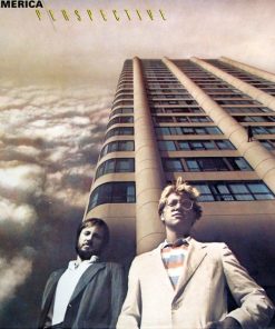 Perspective vinyl record