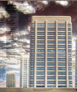 Perspective vinyl record