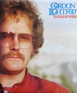 Endless Wire vinyl record