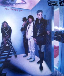 All Shook Up vinyl record