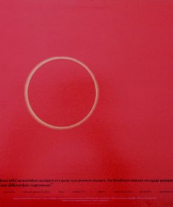 Reactor vinyl record