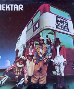 Down To Earth vinyl record