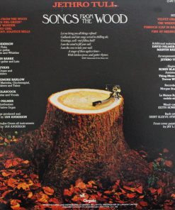 Songs From The Wood vinyl record