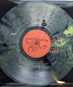 Past Lives vinyl record