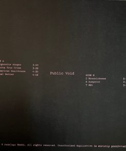 Public Void vinyl record