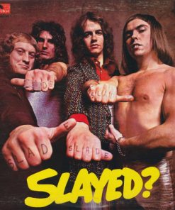 Slayed? vinyl record