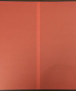 Struggler vinyl record