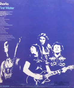 First Water vinyl record