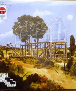 Room Under The Stairs vinyl record