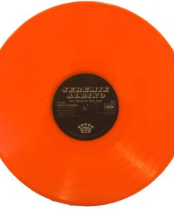 Our Time In The Sun vinyl record