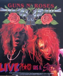 G N' R Lies vinyl record