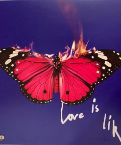 Love Is Like vinyl record