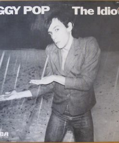 The Idiot vinyl record