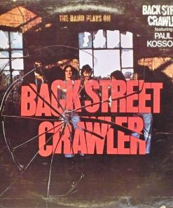 The Band Plays On vinyl record