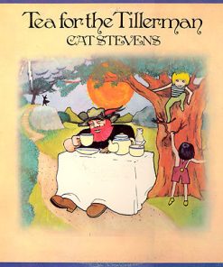 Tea For The Tillerman vinyl record
