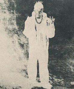 R 31084247 1719605247 vinyl record