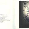 Brian Eno-1