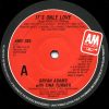 Bryan Adams / Tina Turner-2