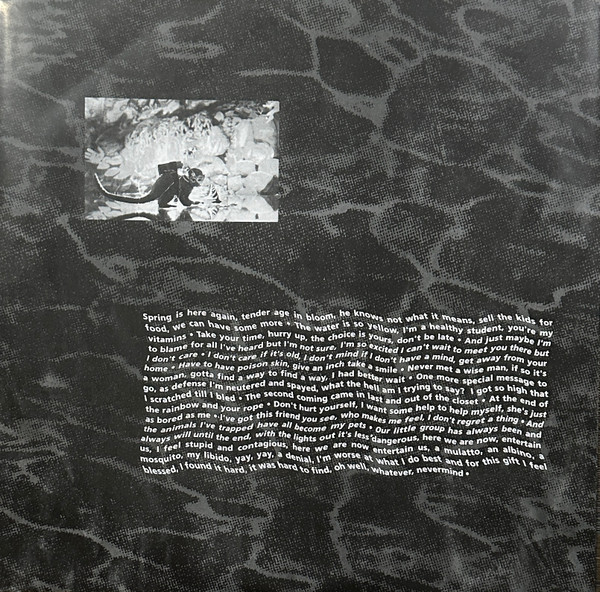 Nirvana-2